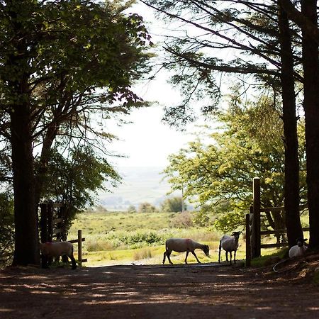 Wheal Tor Hotel & Glamping Liskeard Εξωτερικό φωτογραφία