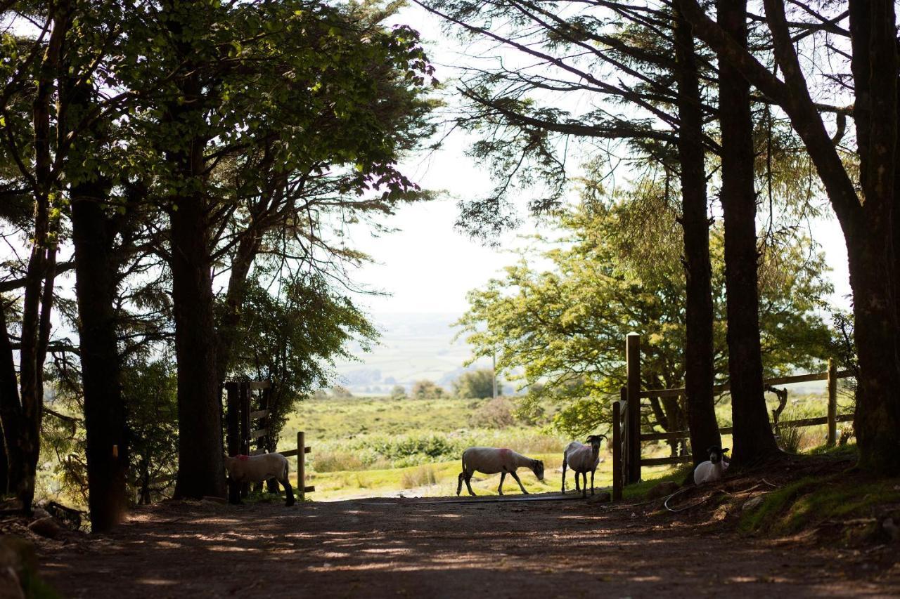 Wheal Tor Hotel & Glamping Liskeard Εξωτερικό φωτογραφία